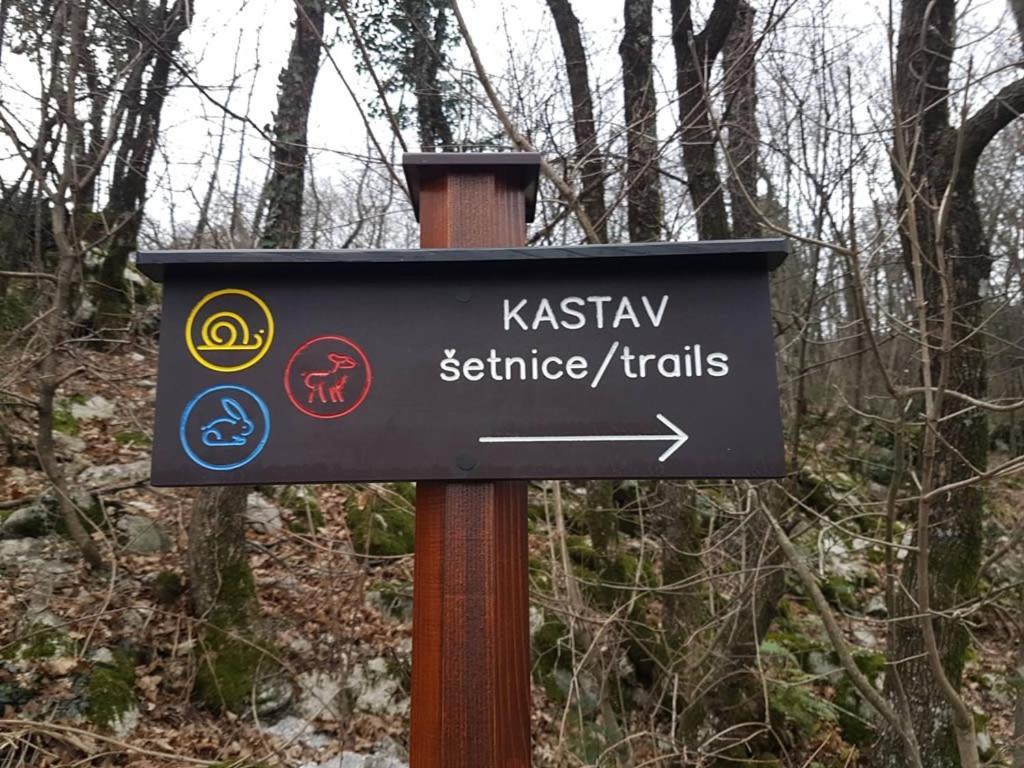 House Lida Apartman Kastav Kültér fotó